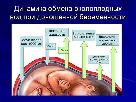 Белковая примесь