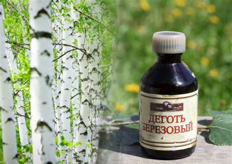 Березовый деготь в народной медицине для лечения дыхательных заболеваний