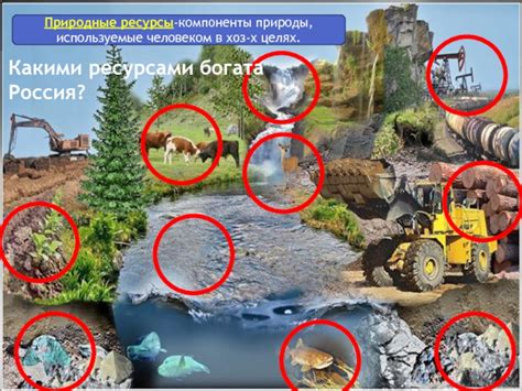 Богатство ресурсами