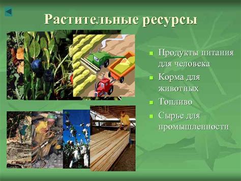 Богатые природные ресурсы - сырье для производства