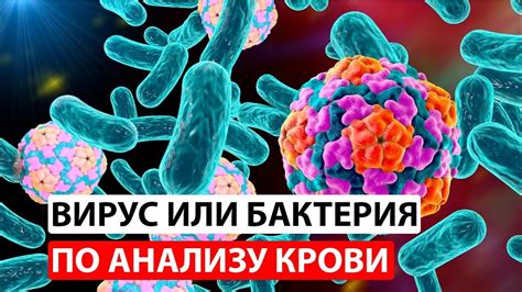 Болезни и инфекции: симптомы и возможности лечения