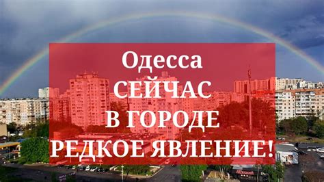 Борис - редкое явление в городе