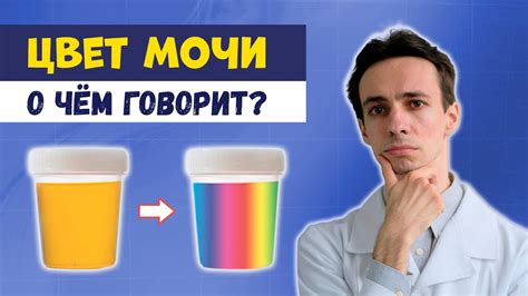 Борщ как причина изменения цвета мочи