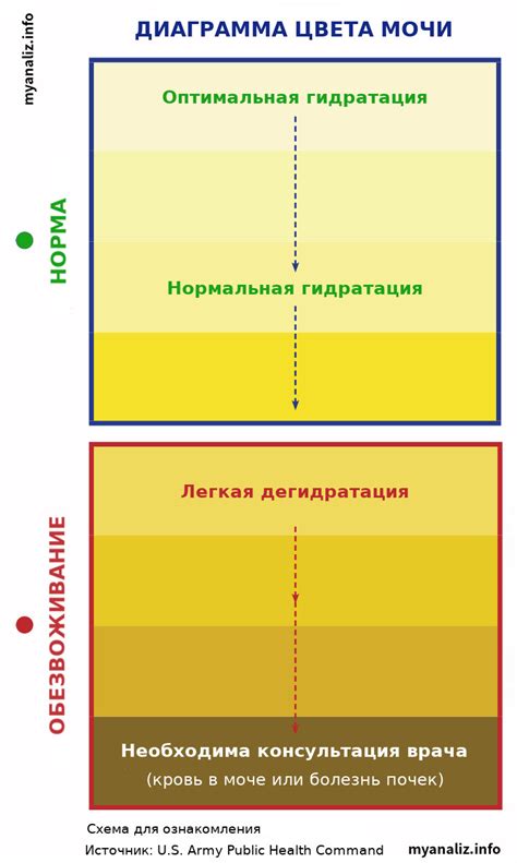 Важность мониторинга цвета мочи