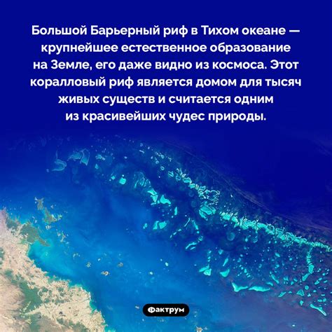 Важность океана для глобальной экономики