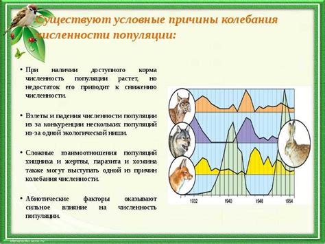 Варианты сохранения популяции