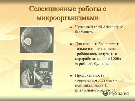 Взаимодействие с микроорганизмами