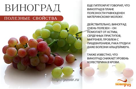 Виноград - чем полезен для кур