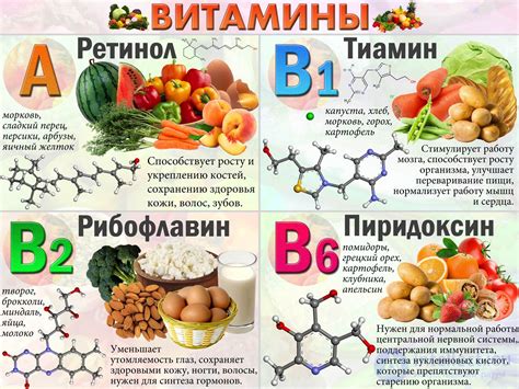 Витамины и минералы в составе лука