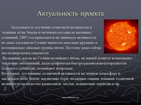 Влияние активности на запах чихуахуа