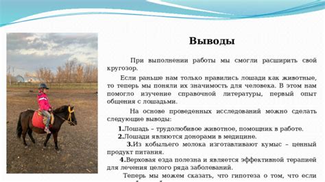 Влияние асфальта на здоровье лошадей
