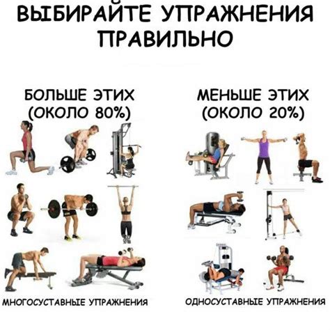 Влияние веса гантелей на набор мышечной массы