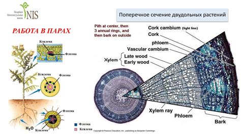 Влияние внешних факторов на мерцание света