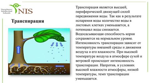 Влияние внешних факторов на становление клея в воду