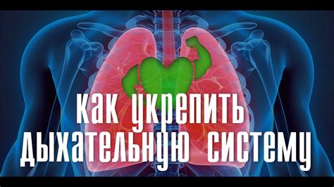 Влияние гипса на дыхательную систему