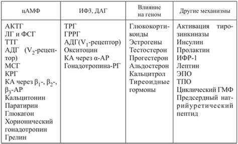 Влияние гормонов и физиологические процессы