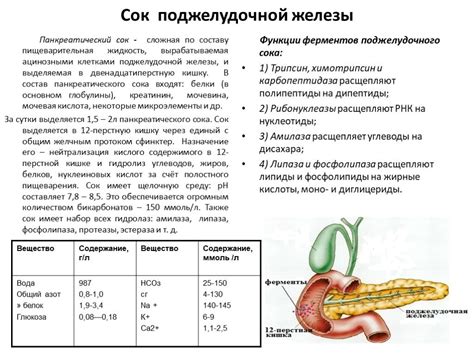Влияние гречки на пищеварительную систему цыплят