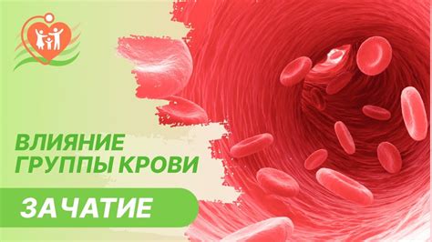 Влияние группы крови мужа на женскую консультацию