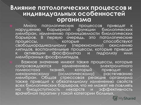 Влияние индивидуальных особенностей организма