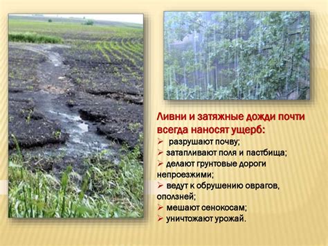 Влияние климатических условий на время вылупления