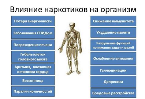 Влияние котэрвина на организм