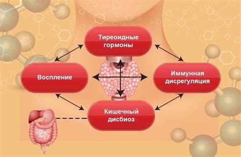 Влияние массажа на функцию щитовидной железы
