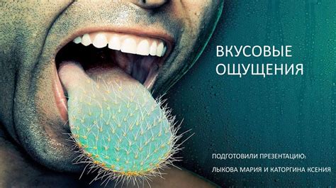 Влияние на вкусовые ощущения