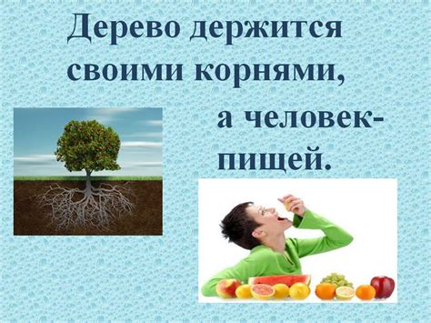 Влияние на здоровье и эффективность