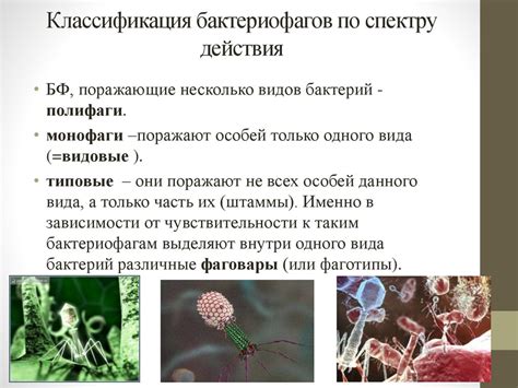 Влияние на микроорганизмы