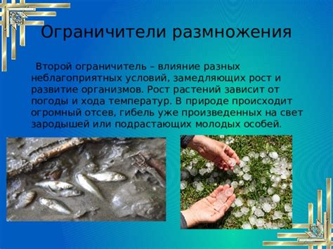 Влияние неблагоприятных условий на качество пены