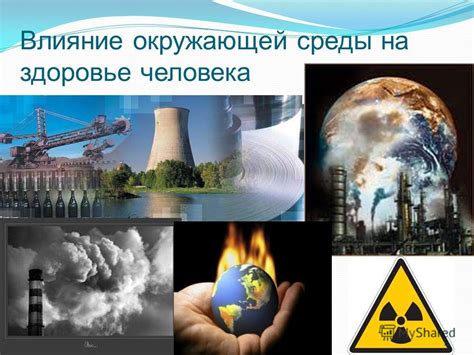 Влияние окружающей среды: