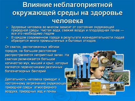 Влияние окружающей среды на влажность сахара