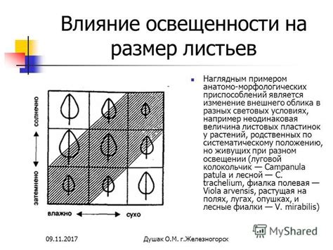 Влияние окружающих на изменение внешнего облика