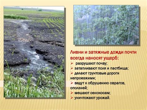 Влияние окружения и климата