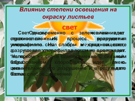 Влияние оксидации на окраску