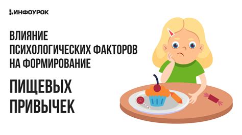 Влияние пищевых привычек на перевариваемость семечек