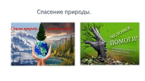 Влияние природы и климата на внешность турок