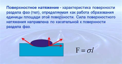 Влияние силы поверхностного натяжения