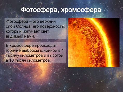 Влияние солнечного света на живых организмов