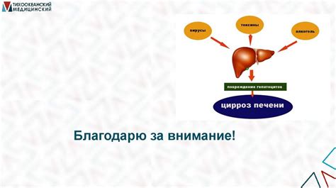 Влияние утрожестана на метаболизм