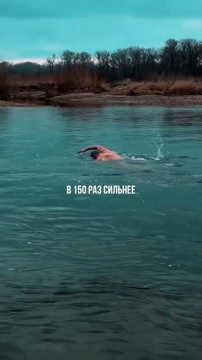 Вода и ее воздействие на краску