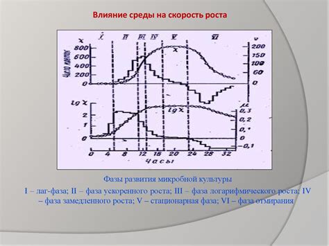 Воздействие внешних факторов на рост шерсти