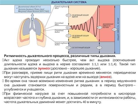 Воздействие дыхательного процесса