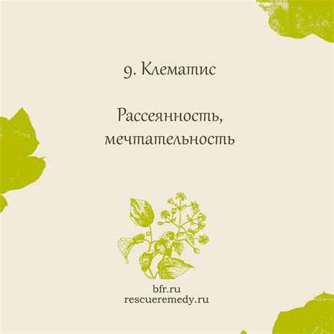 Воздействие настоя