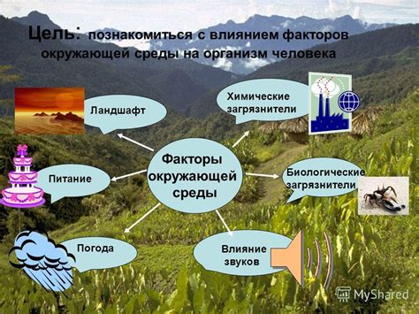 Воздействие окружающей среды на ощущение запаха