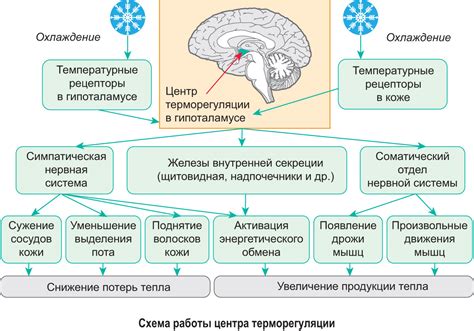Воздействие температурных условий