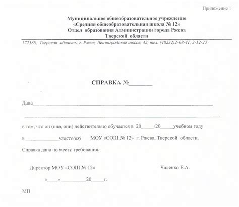 Возможности и преимущества подачи справки из 11 класса