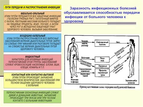 Возможность передачи болезней