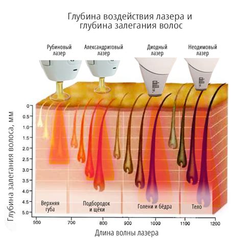 Вредное воздействие постоянного удаления волос на текстуру и эластичность кожи: эстетический эффект