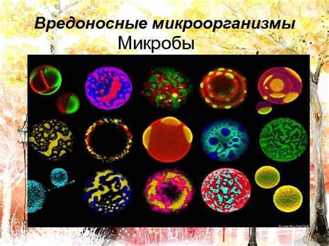 Вредоносные микроорганизмы